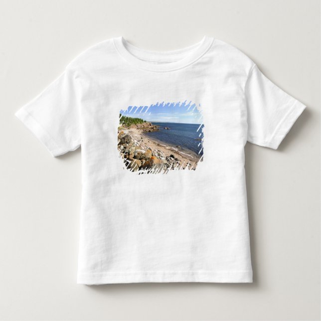 Canada, Quebec. VIA Rail Canada train The 2 Toddler T-Shirt (Front)