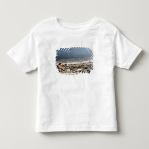 Canada, Quebec. VIA Rail Canada train The Toddler T-Shirt