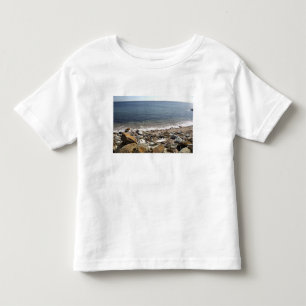 Canada, Quebec. VIA Rail Canada train The Toddler T-Shirt