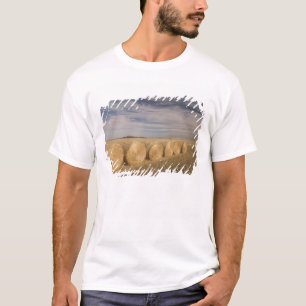 Canada, Saskatchewan, Craik: Hayrolls / Autumn T-Shirt