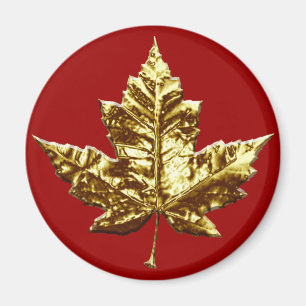Canada Souvenir Fridge Magnet Gold Maple Leaf Gift