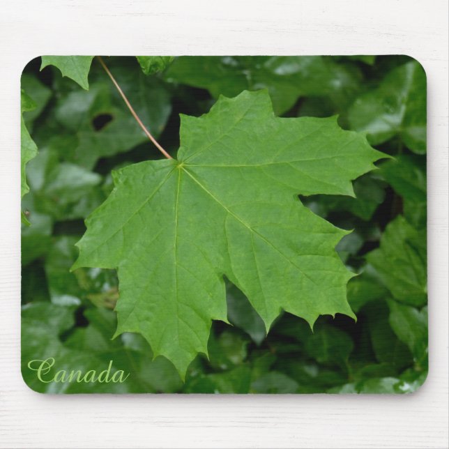 Canada Souvenir Mousepad Canada Maple Leaf Gifts (Front)