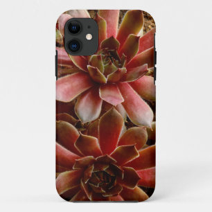 Canada, . Succulent plant iPhone 11 Case