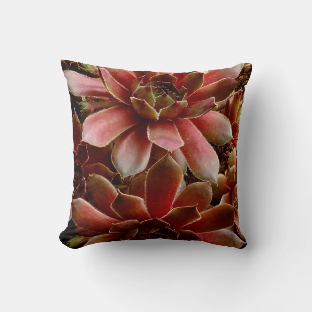Canada, . Succulent plant Cushion (Front)