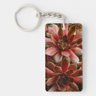 Canada, . Succulent plant Key Ring