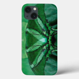 Canada, Victoria, Victoria Butterfly Gardens iPhone 13 Case