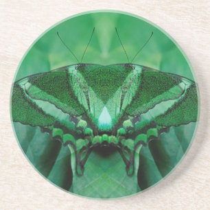 Canada, Victoria, Victoria Butterfly Gardens Coaster