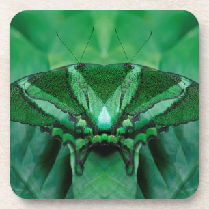 Canada, Victoria, Victoria Butterfly Gardens Coaster