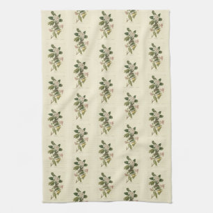 Canada Warbler from Audubon's Birds of America Tea Towel