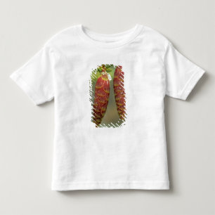 Canada, Yukon, Black Spruce Cones Toddler T-Shirt