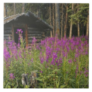 Canada, Yukon, Ross River area, Abandoned cabin Ceramic Tile