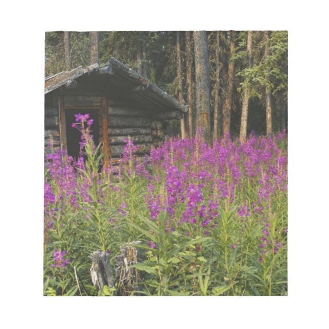 Canada, Yukon, Ross River area, Abandoned cabin Notepad (Front)