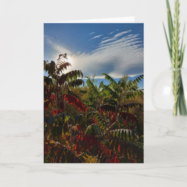 Canadian Autumn Colours Blank Card (Front)