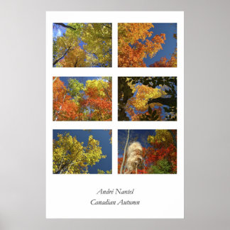 Canadian Autumn Poster