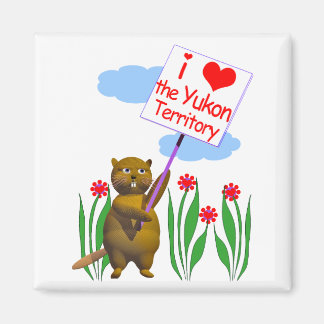 Canadian Beaver Loves the Yukon Magnet