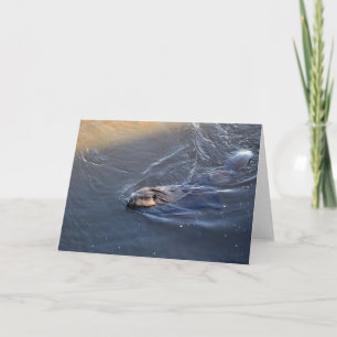 Canadian Beaver Wildlife Greeting Card