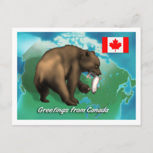 Canadian Black Bear Postcard