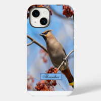 Canadian Brown Bohemian Waxwing Bird Photography
