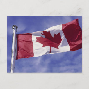 Canadian flag postcard