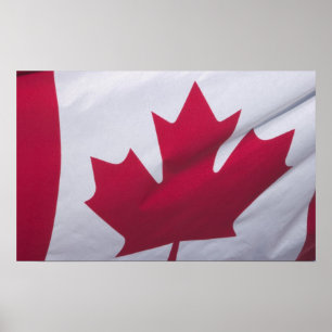 Canadian Flag. Poster