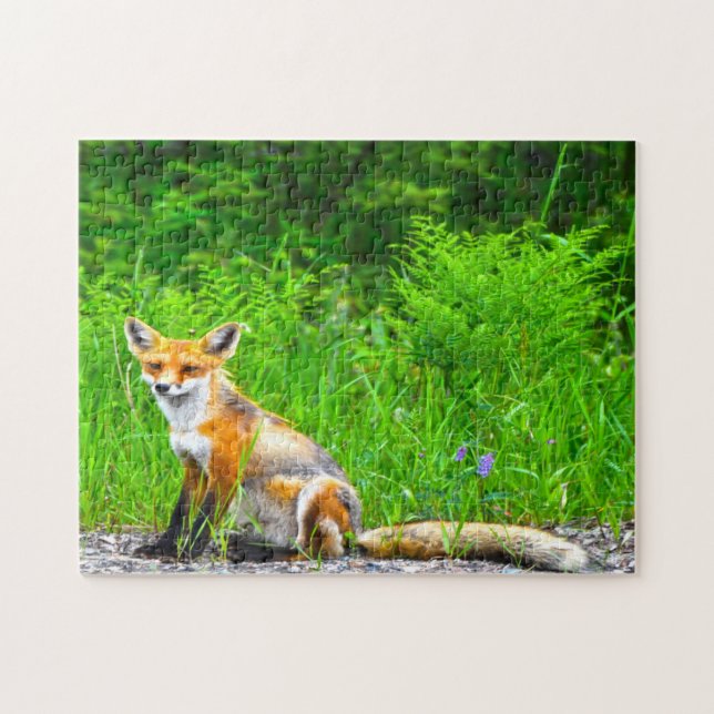 Canadian Fox Jigsaw Puzzle (Horizontal)