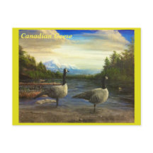 Canadian Geese at Beaver Lake. - postcard