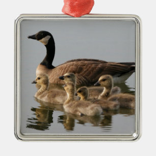 Canadian Geese Bird Lovers Gifts Metal Ornament