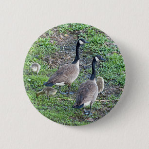 Canadian Geese Family 6 Cm Round Badge