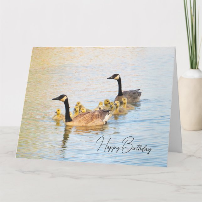 Canadian Geese Family - Birthday Card (Front)