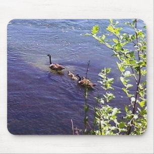 Canadian Geese Family Mouse Pad