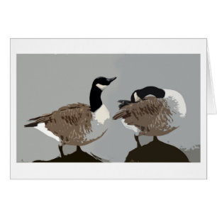 Canadian geese, graphic art card