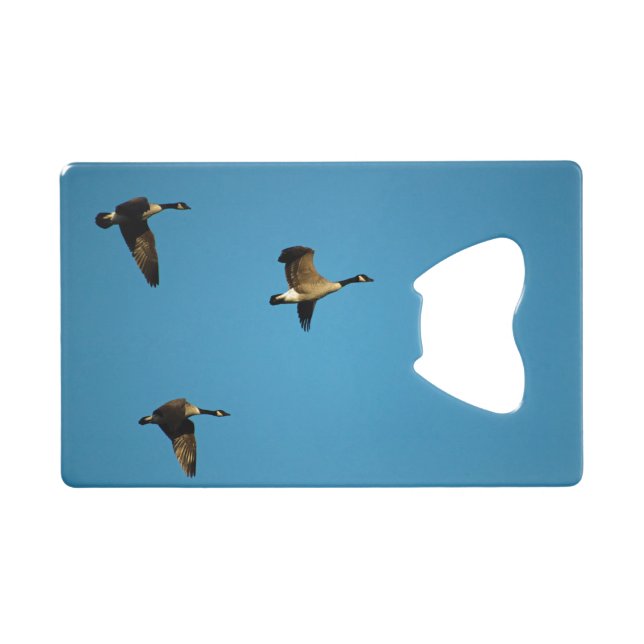 Canadian geese in flight (Front (Horizontal))