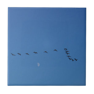 Canadian geese in flight        ceramic tile