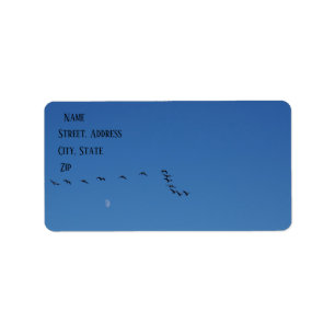 Canadian geese in flight label