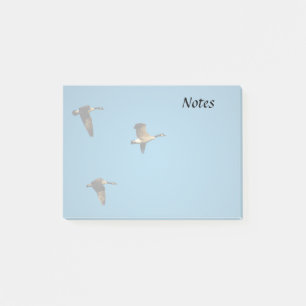 Canadian geese in flight  post-it notes
