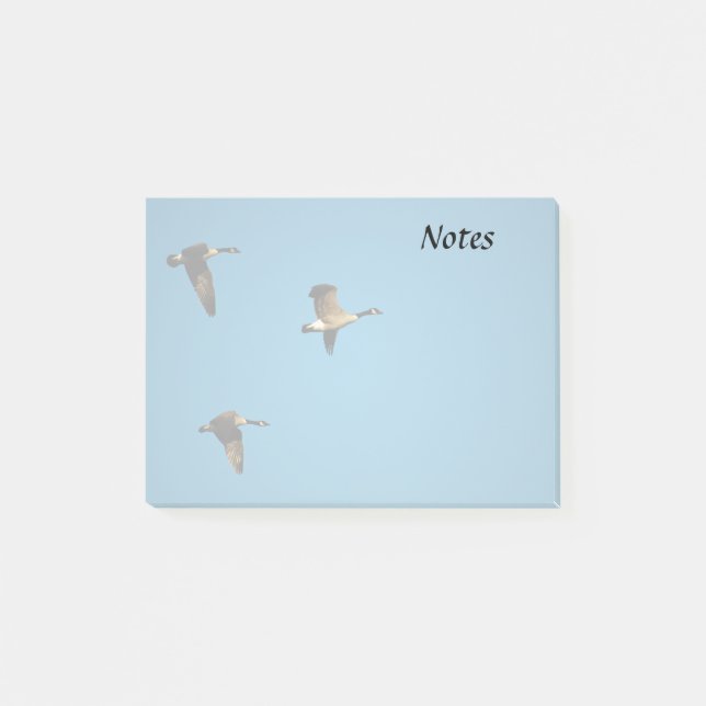 Canadian geese in flight  post-it notes (Front)