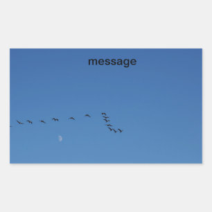 Canadian geese in flight rectangular sticker