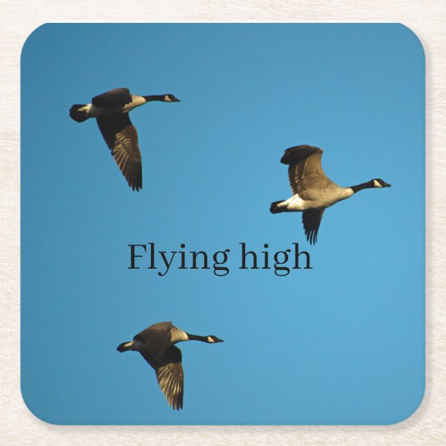 Canadian geese in flight   square paper coaster (Front)