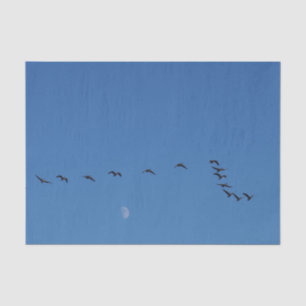 Canadian geese in flight        tissue paper