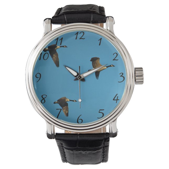 Canadian geese in flight  watch (Front)
