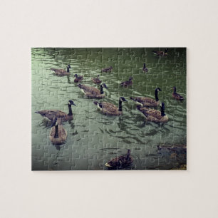 Canadian Geese & Mallard Ducks Jigsaw Puzzle