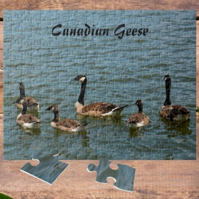 Canadian Geese on Lake Photographic Jigsaw Puzzle (Creator Uploaded)