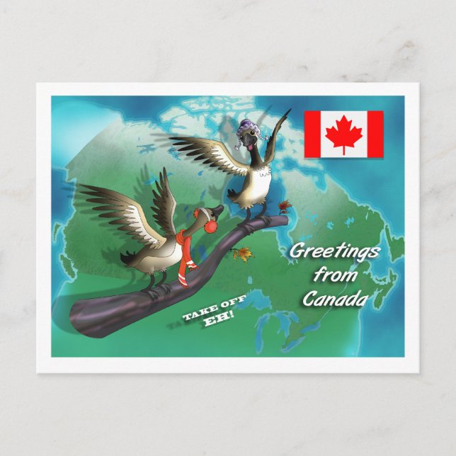 Canadian Geese Postcard (Front)