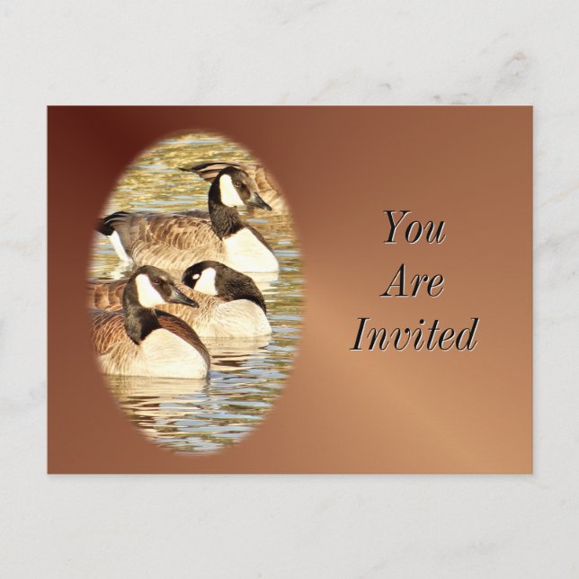 Canadian Geese Postcard-Invitation-customise Invitation Postcard (Front)