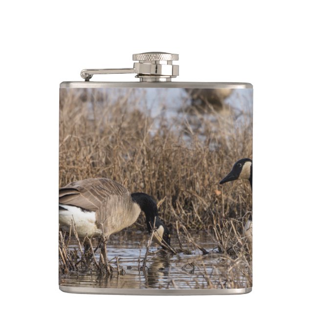 Canadian Geese Snack Time Hip Flask (Front)