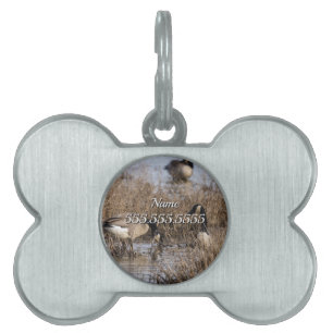 Canadian Geese Snack Time Pet Tag