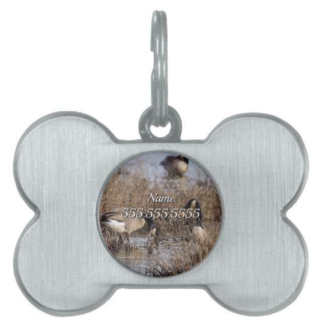 Canadian Geese Snack Time Pet Tag (Front)