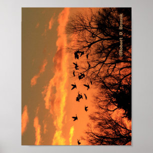 Canadian Geese Sunset Silhouette  Wood Poster. Woo Poster