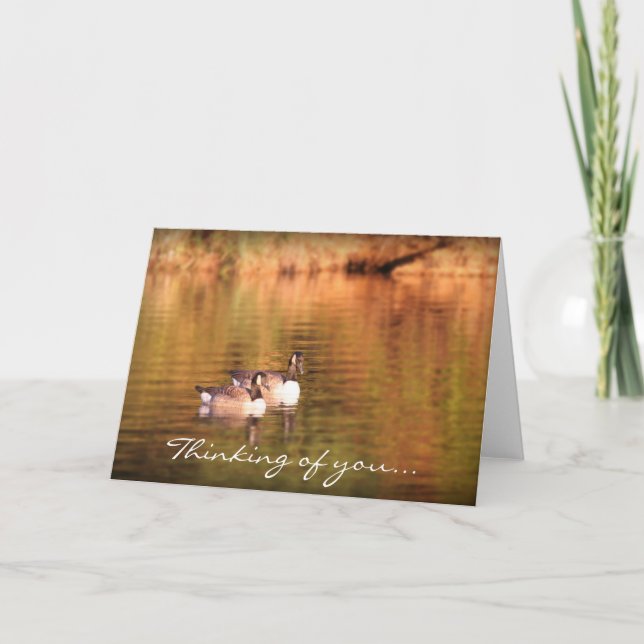 Canadian geese - thinking of you card (Front)