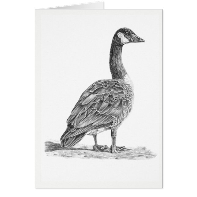 Canadian Goose (Front)